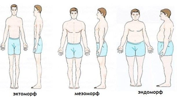 Телосложение и болезни. А знаете ли вы, что наши болезни напрямую связаны с нашей конституцией, то ...