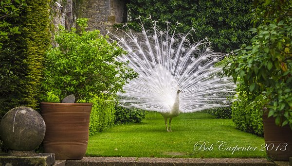 .    /Amberley Castle.  - Amberley Castle  ... - 40