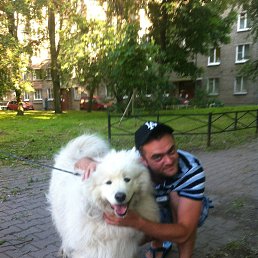 ���� ���������, �����-���������, 40 ��� - ��������� 23 ������ 2018