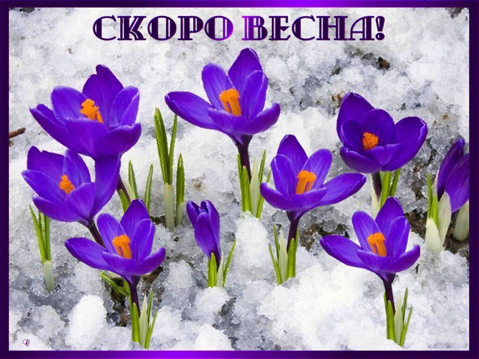 Tatyana Oleksina - 24  2018  15:00