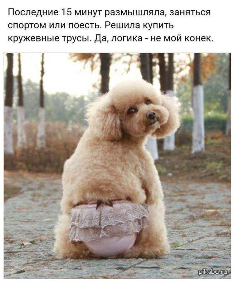 ***Victoria Viktorovna*** - 27  2018  16:55
