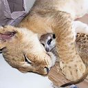 ���� ������, ���������, 72 ���� - ��������� 16 ����� 2018 � ������ ������ ��������