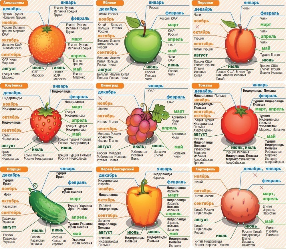 Сезонные фрукты и овощи по месяцам в России таблица