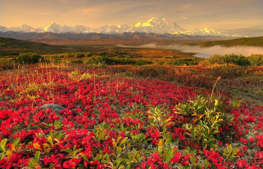  ,  Valley of Flowers        .. ... - 3