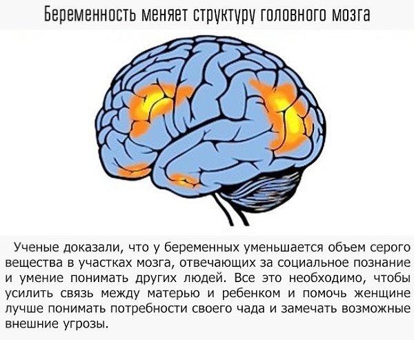 9 примеров того, как мы влияем на свой мозг - 8