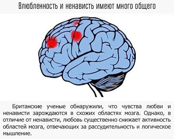 9 примеров того, как мы влияем на свой мозг - 9