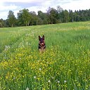 ���� ���������, ������� �����, 45 ��� - ��������� 18 ���� 2018 � ������ ���� ����������