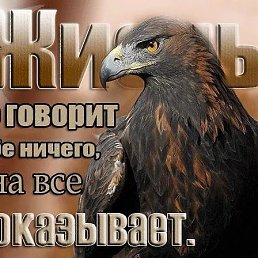 ������, ��������������, 61 ���