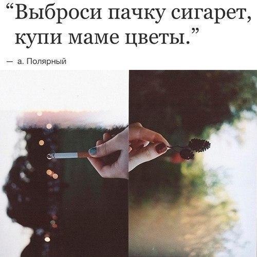 . - 12  2017  07:45