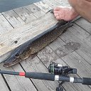 ���� ����, �����-���������, 44 ���� - ��������� 26 ���� 2018 � ������ ���� ����������