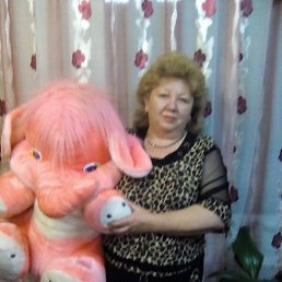 , 61, 