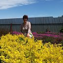 ���� ��������, �����������, 58 ��� - ��������� 27 ���� 2018 � ������ ���� ����������