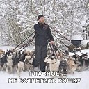 ���� �, �������, 105 ��� - ��������� 17 ������� 2017