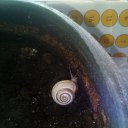 ���� ���, ������, 65 ��� - ��������� 25 ��� 2018 � ������ ���� ����������