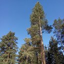 ���� ����, ������������ - ��������� 9 ������ 2018