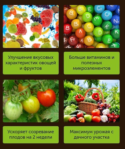,  ,     BioGrow Plus http://b.newshopsale.ru/rd/2vOOV1 .    ... - 2