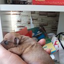 ���� �����, ����, 47 ��� - ��������� 30 ������ 2017 � ������ ���� ����������