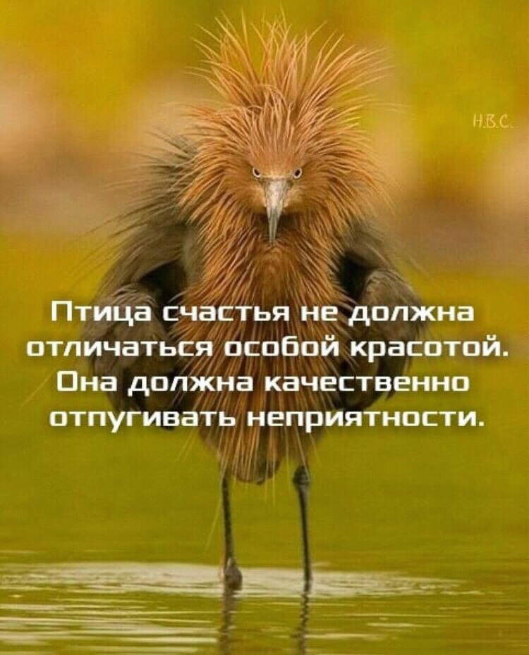  - 10  2018  21:41