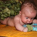 ���� �������, ������ - ��������� 31 ������ 2018 � ������ ������ ��������