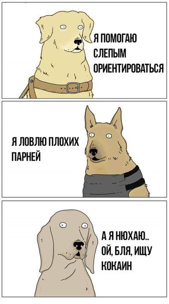   - 18  2018  02:42