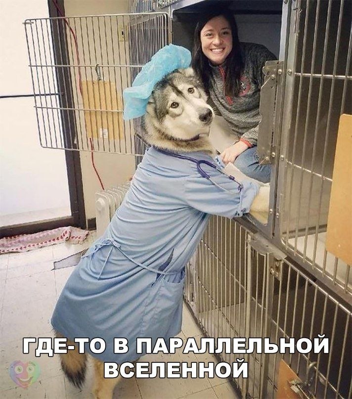  :D - 29  2018  04:09