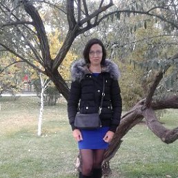 ������, 41 ���, ����