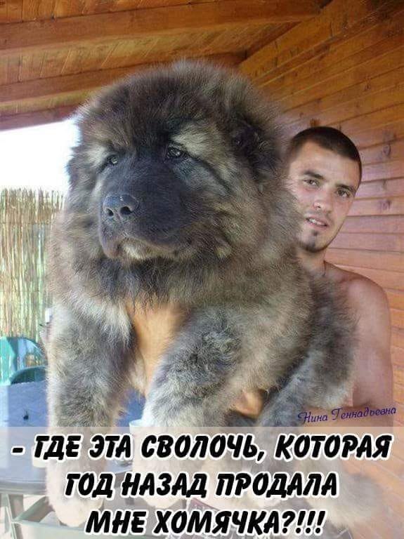 )))