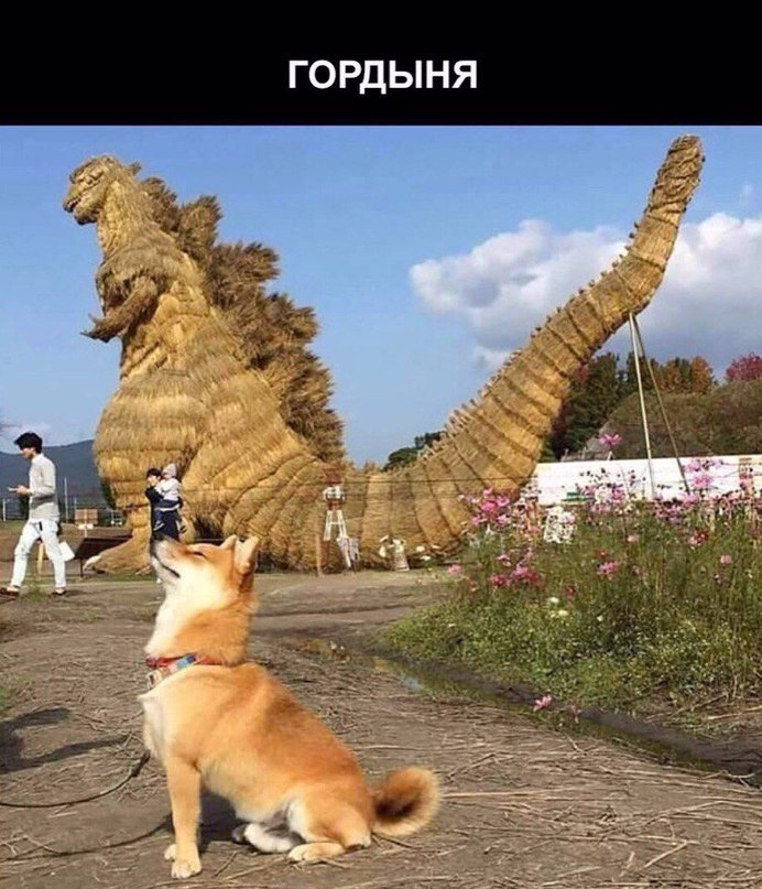 7   - 5