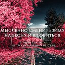 ���� �����, ����, 48 ��� - ��������� 6 ������� 2017 � ������ ������ ��������