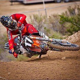 ��������� �������, �����������, 85 ���