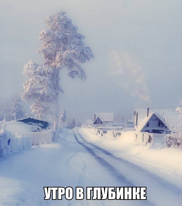  - 23  2017  03:36