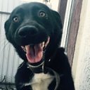  , --, 49  -  16  2018    