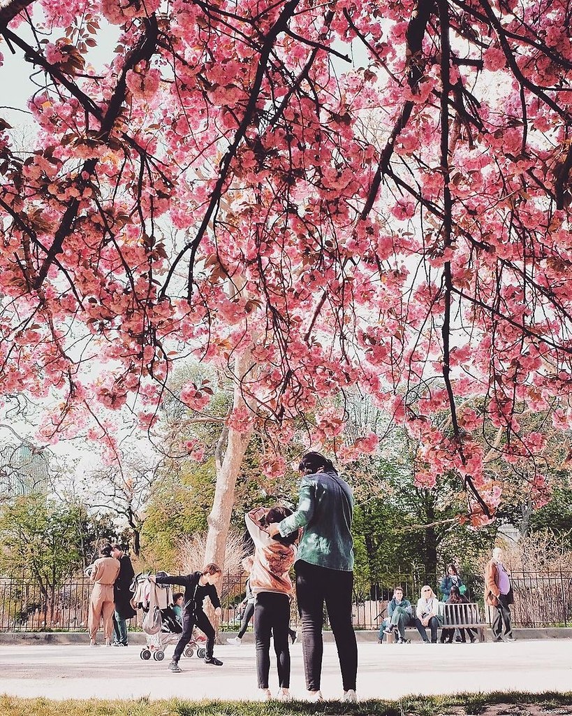 Paris, France - 4