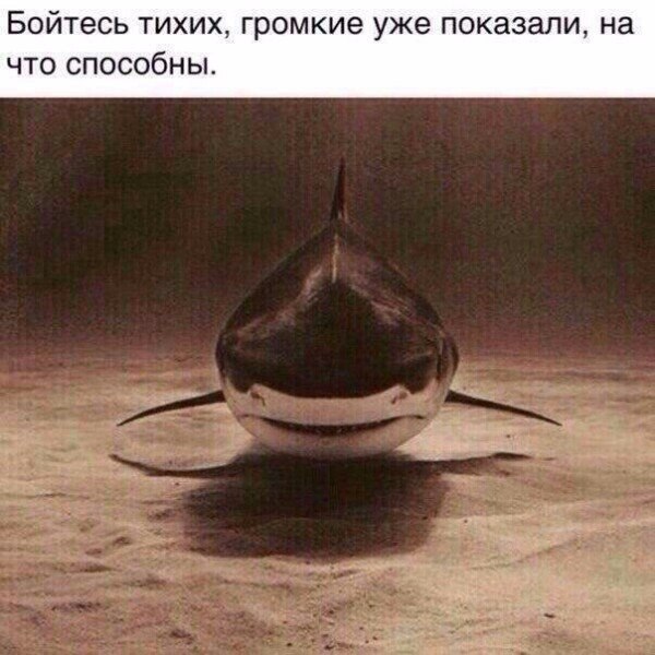     - 10  2018  03:37