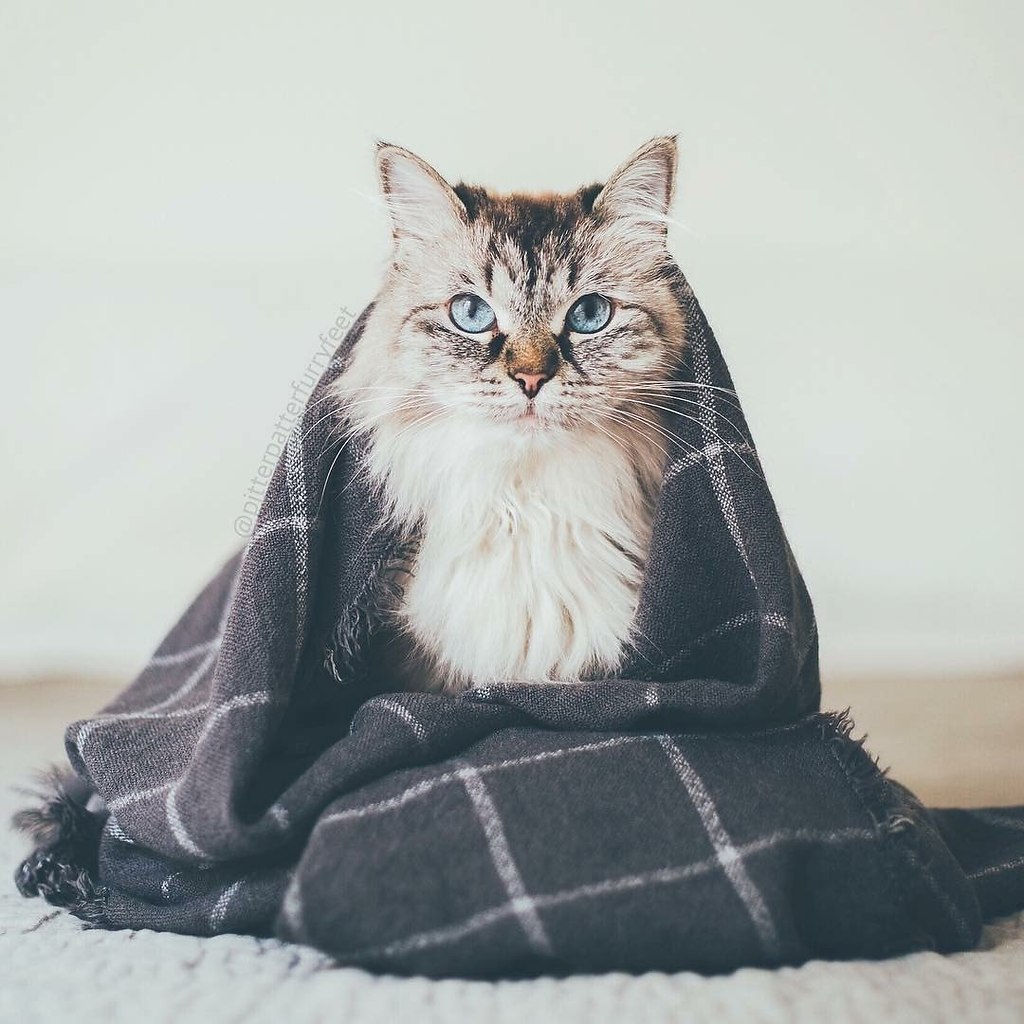  - ,  ,     :3 - 4