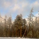 ���� �������, ������� - ��������� 28 ������ 2017 � ������ ��������