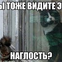 ���� ���������, ��������� - ��������� 11 ���� 2018 � ������ ������ ��������