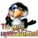 ���� �������, ����� - ��������� 25 ���� 2018 � ������ ������ ��������