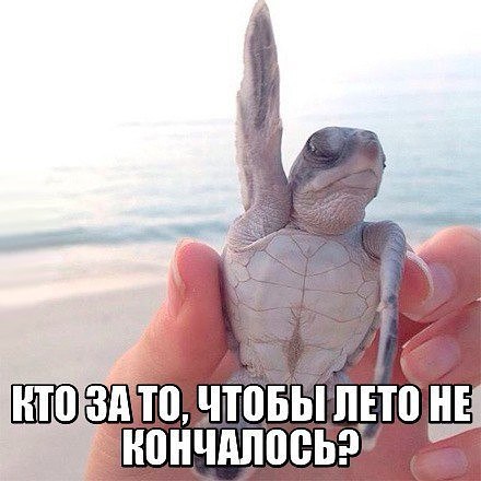    - 7  2018  13:17