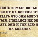  , , 54  -  11  2018    