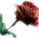 ���� �������, ������, 51 ��� - ��������� 22 ����� 2018 � ������ ���� ����������