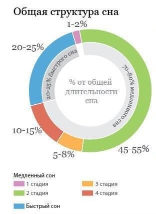 Что происходит с организмом человека во время сна? - 2