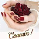 ���� �����, ����� - ��������� 8 ����� 2018 � ������ ���� ����������