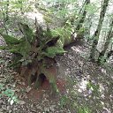 ���� �����, ����������� - ��������� 29 ����� 2018 � ������ ���� ����������