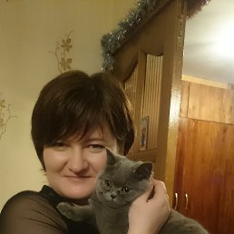 �����, ��������, 51 ���