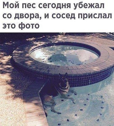 , , , ,  - 6  2017  03:52