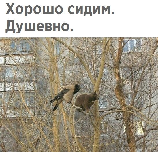  - 11  2018  02:37