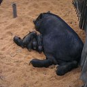 ���� �������, �������, 53 ���� - ��������� 24 ������ 2018 � ������ ���� ����������