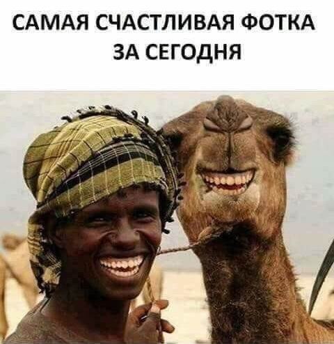 Nightjar - 22  2018  09:27 - 27