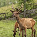  , -, 64  -  9  2019   - 